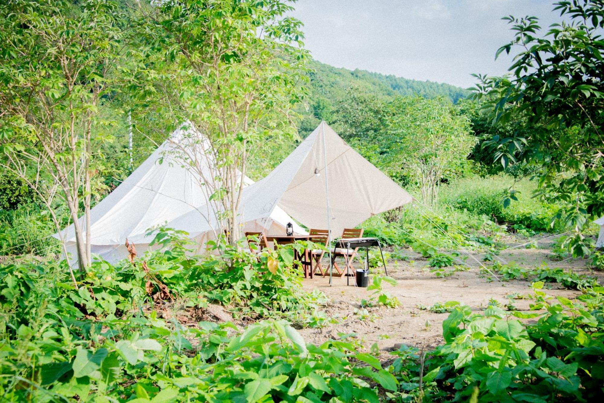 Yoichi Vineyard Glamping Hotel Exterior photo